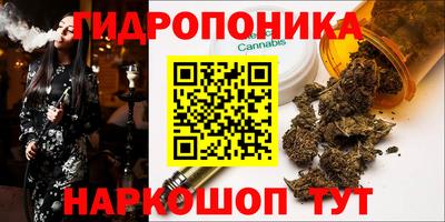 бошки Донецк