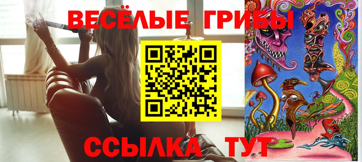 Галлюциногенные грибы Psilocybe  Галлюциногенные грибы Magic Shrooms  купить наркотик  Миллерово  Вход с VPN 